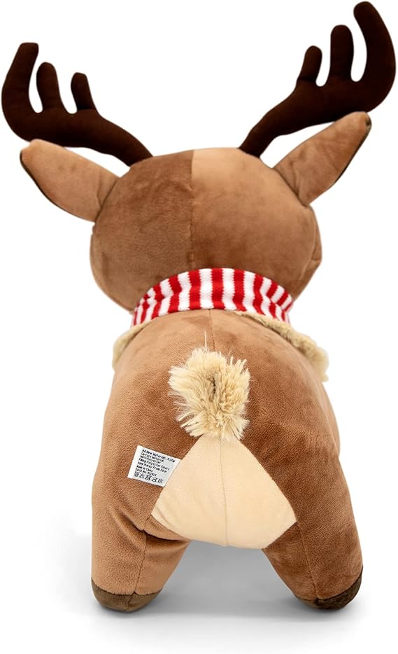 Personagem de natal - Ralphie