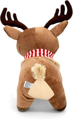 Personagem de natal - Ralphie