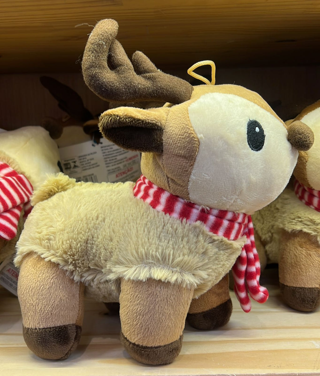 Personagem de natal - Ralphie