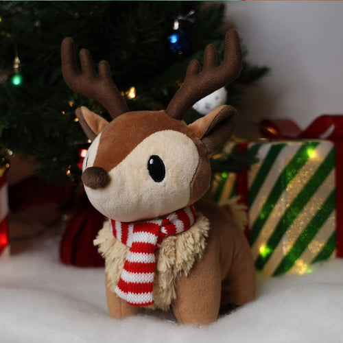 Personagem de natal - Ralphie