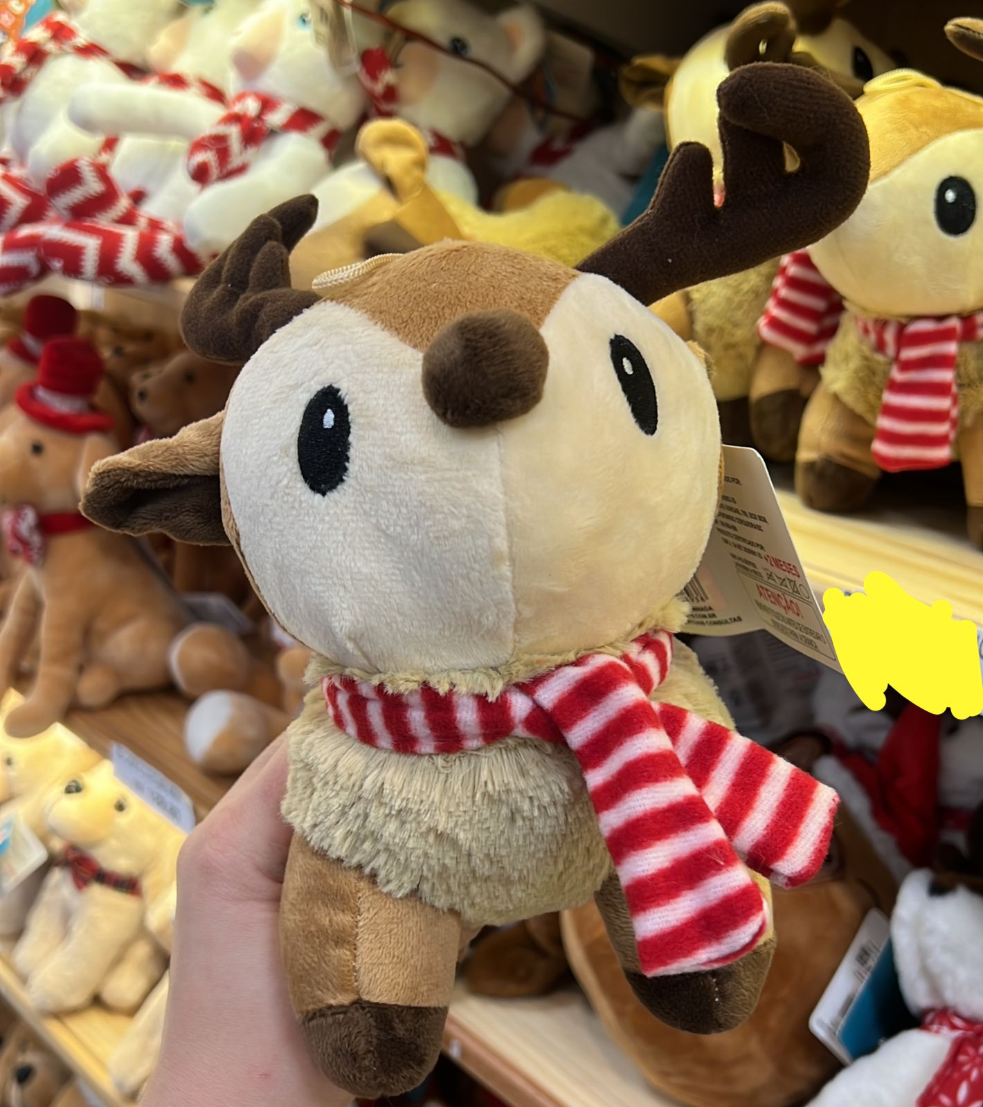 Personagem de natal - Ralphie